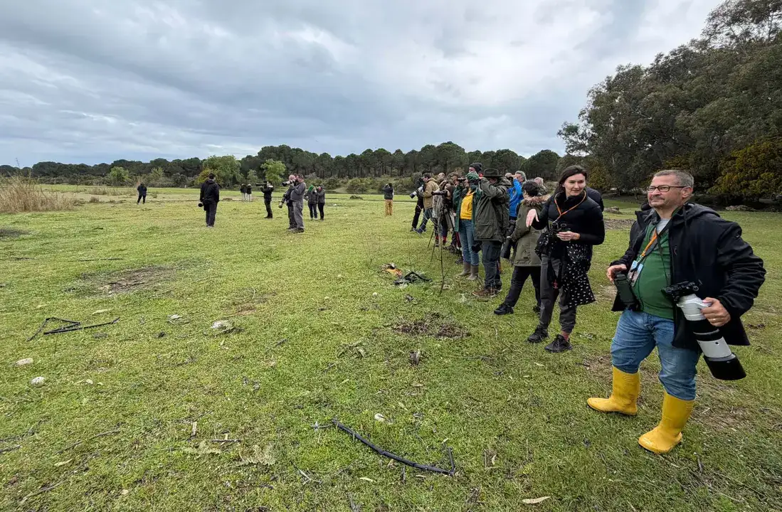 Göç Yolunda Antalya'nın Nadir Misafirleri 9